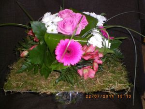 IMGP0133