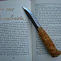 Une chanson douce de mary higgins clark