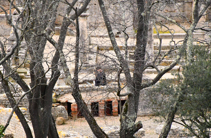 DSC_0466