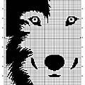 Loup noir et blanc