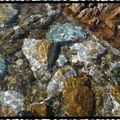L'eau, abstraite! l'eau précieuse...
