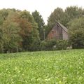 DSC03355