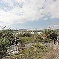 DSC01174