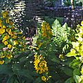 Balade au jardin.