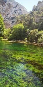 Fontaine de Vaucluse 15