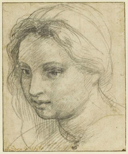 Andrea del Sarto, Study of the Head of a Woman, ca