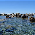 DSC08077