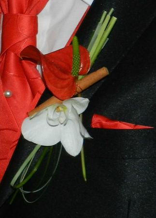 DSCN3626
