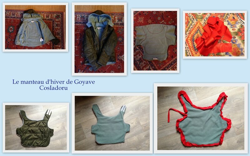 le manteau d'hiver de Goyave