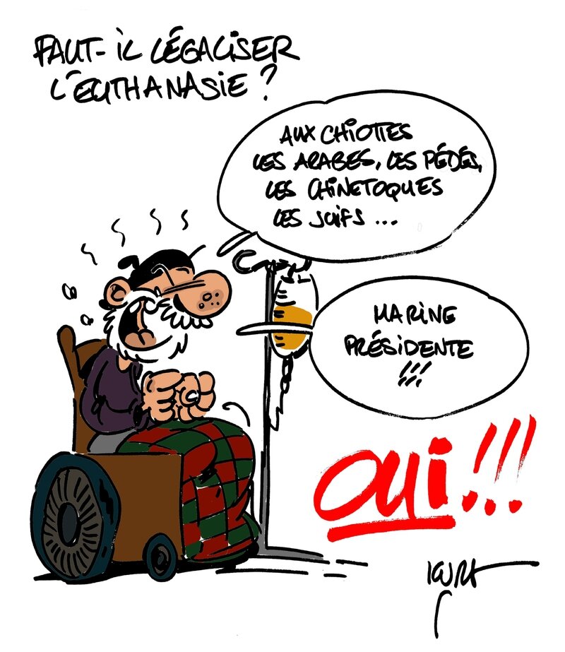 Faut il lgaliser l euthanasie dissertation 08 picture