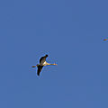 IMG_8465