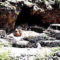Grottes bergeries - copie