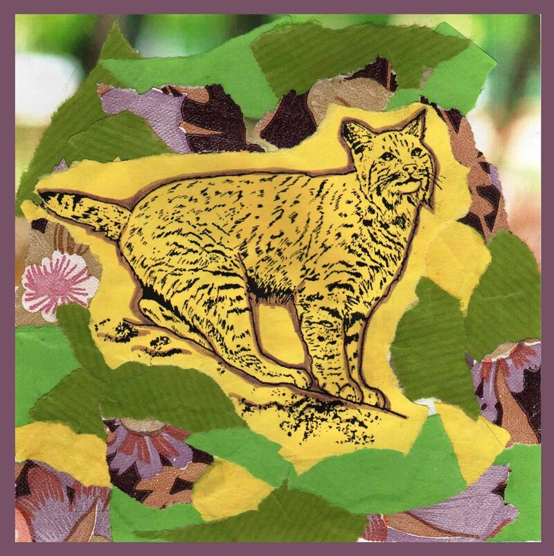 Carte artistique lynx modèle 1