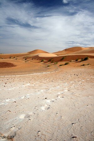 mauritanie_5164