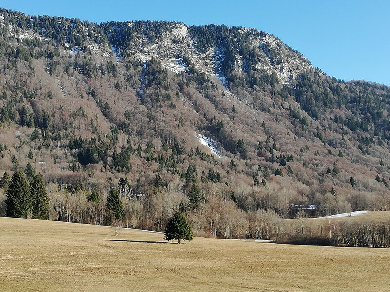 2019 01 03 Margeriaz-019