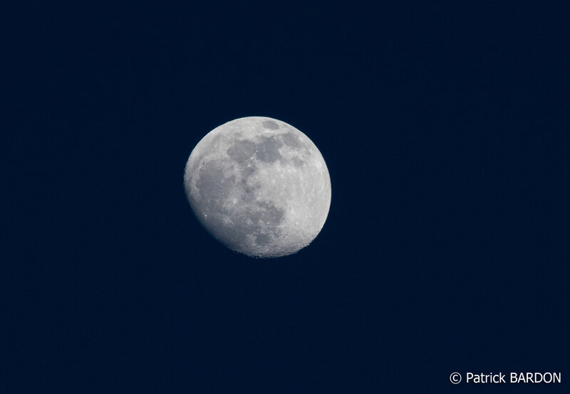 _DSC3502