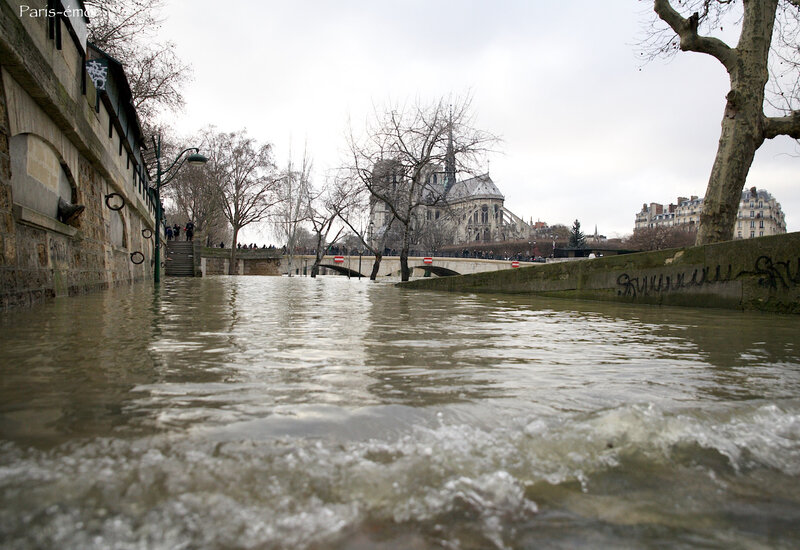 crue seine 0876nA