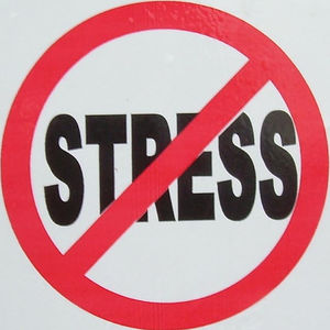 no_stress