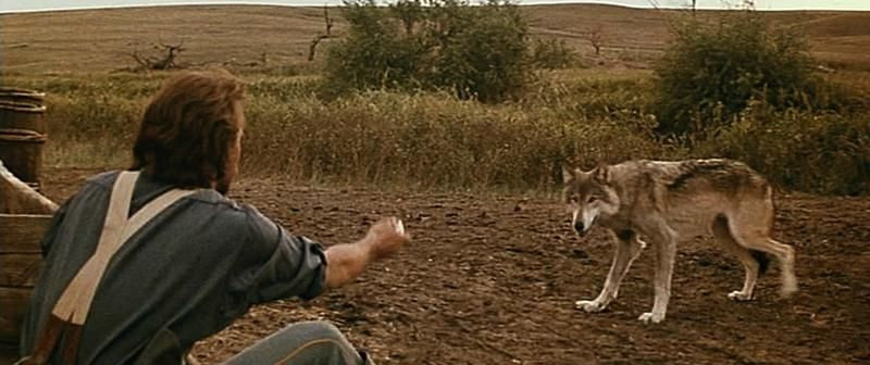 Danse avec les loups / Dances With Wolves - Western Movies