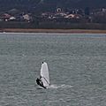 IMG_1087