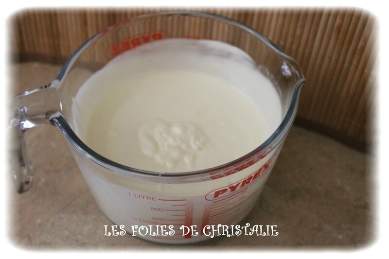 Glace au yaourt 2