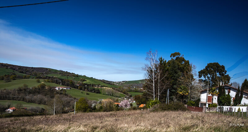 22032019-_MG_5060