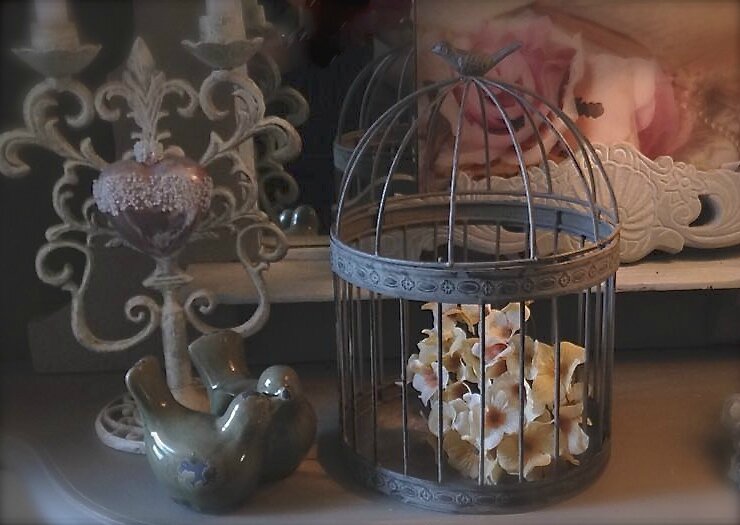 Très Belle Cage Décorative Avec Petit Oiseau Sur Le Dessus