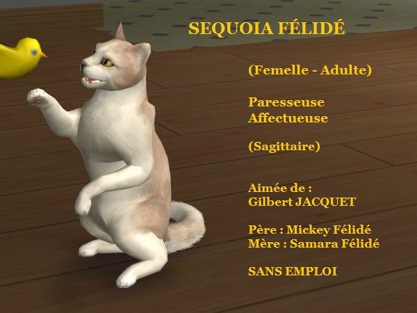 SEQUOIA FELIDE