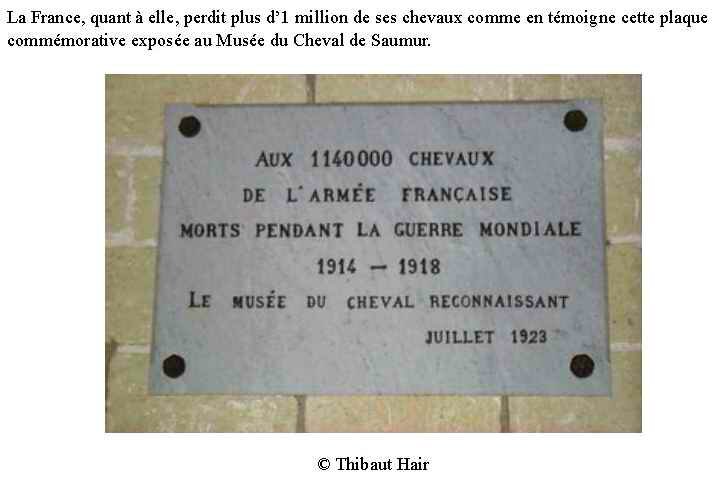 Chevaux morts pour la Fr Saumur