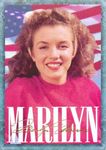 card_marilyn_serie1_num06