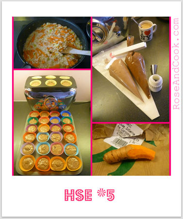 HSE5_2