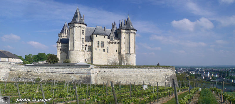 Chateau_de_Saumur