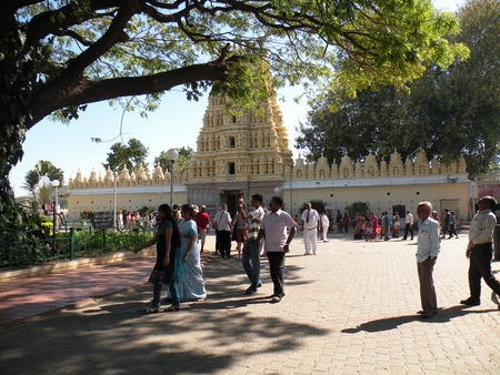 Mysore___Calicut___arriv_e_Cochin_399