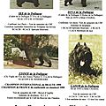 avant internet,florilège de certains boubous nés à l'élevage de la DULLAGUE!!!!