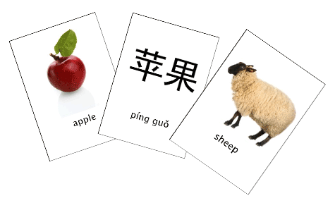 flashcards
