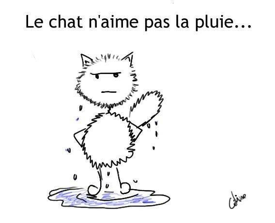 Le Chat Et La Pluie Le Chat De Céline