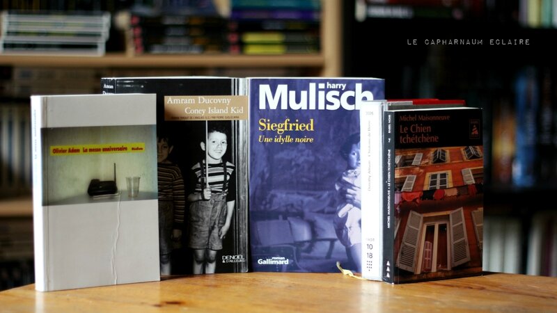 Destockage médiathèque Cécé