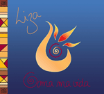 liza_cmv_visu