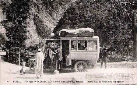 Chiffa_bus