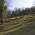 _DSC0095