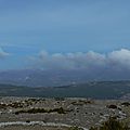P1090375 - Copie