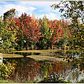 Sherbrooke en automne