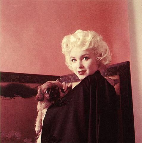 Marilyn Monroe Goes Oriental With Her Pekingese Dog in NY - 1962