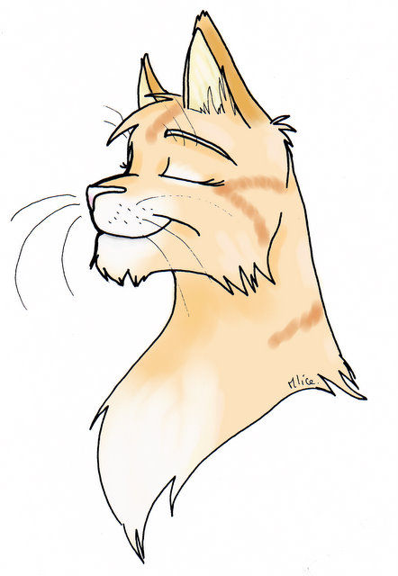 Miaou Mlice Blog De Dessin Amateur