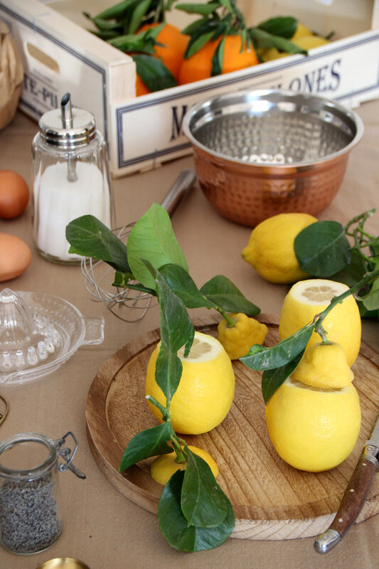 cake_citron_pavot_citron