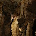IMG_9241