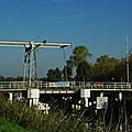 IMGP6309