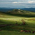 Un jour, j'irai en mongolie...