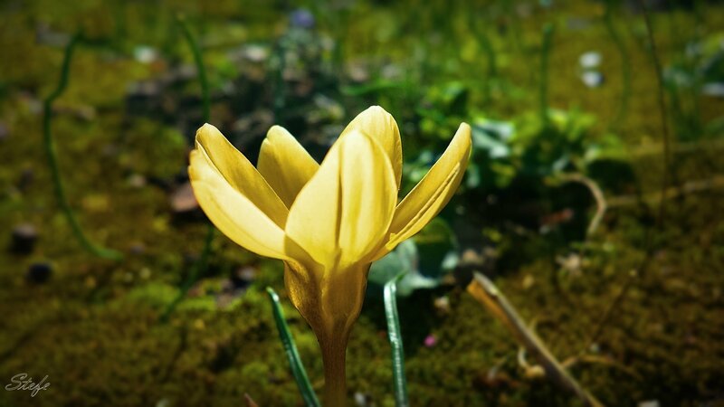 20140224_134612
