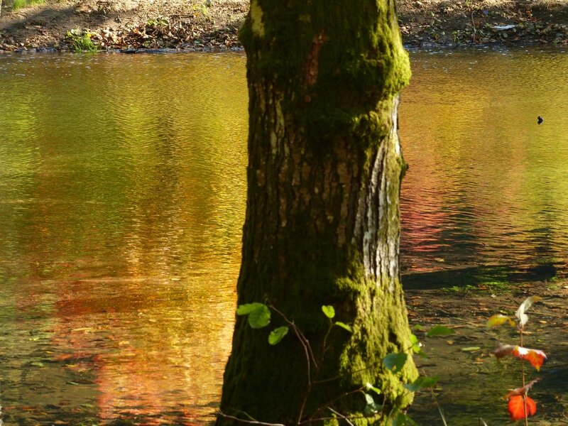 P1330233